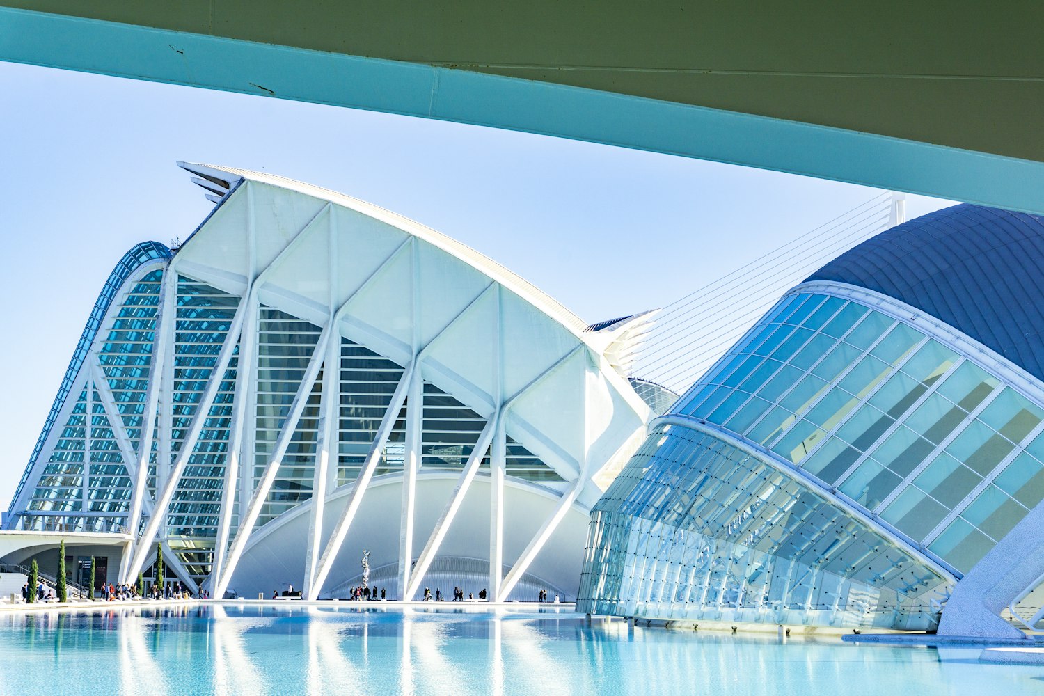 中央4台电视台直播，连接心灵与世界的桥梁实时互动平台