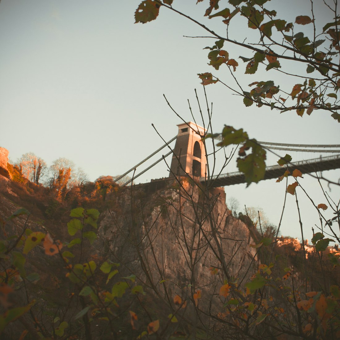 聚焦600252股票动态，实时行情分析与深度聚焦