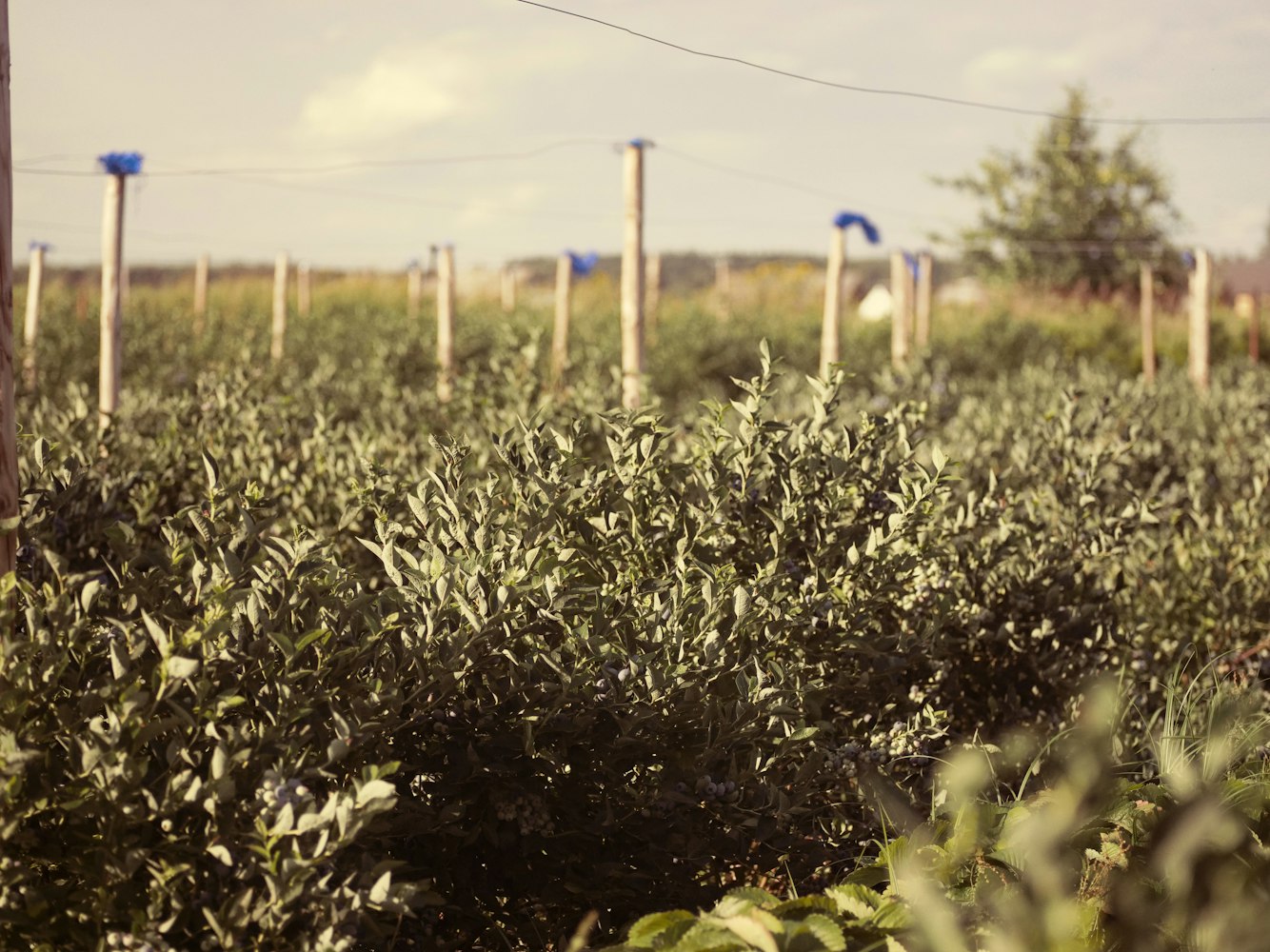 音乐产业最新动态揭秘，变革与创新的前沿探索