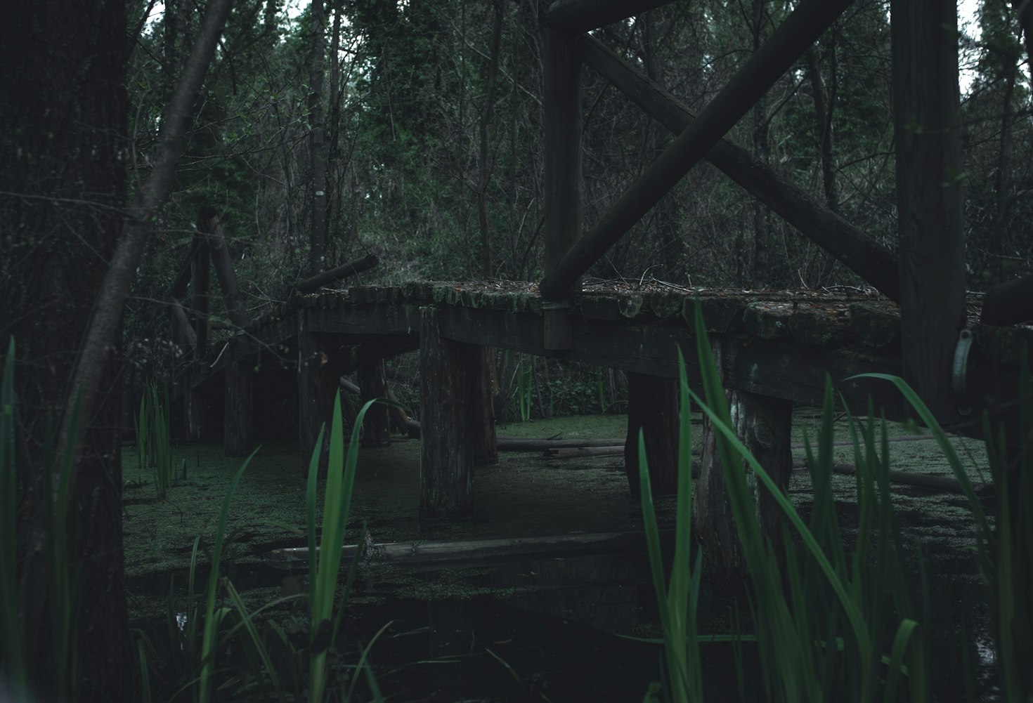 韩国最新成人电影探索现代都市情感与人性的交织世界