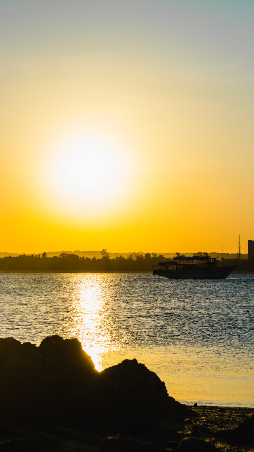 探究狼的最新动态，生态角色与行为变化的探索